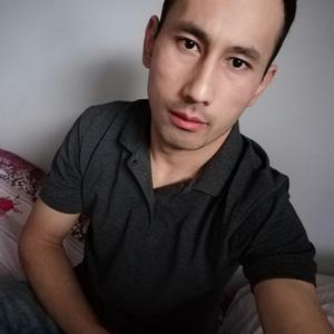 Алибек, 33 года, Тюменская