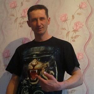 Александр Новиков, 46 лет, Тюмень