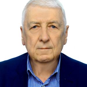 Валерий, 76 лет, Нижний Новгород