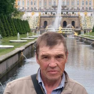 Виктор Соловьёв, 62 года, Кингисепп