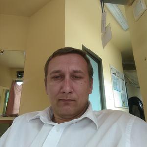 Алексей Соковин, 43 года, Небуг