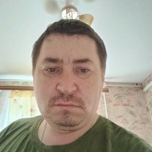 Василий, 47 лет, Волжск