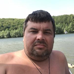 Ник, 43 года, Тольятти