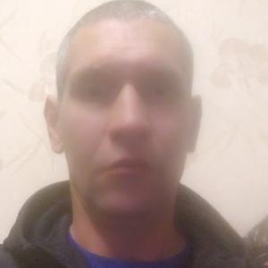 Алексей, 44 года, Димитровград