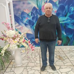 Юрий Алелеков, 63 года, Набережные Челны
