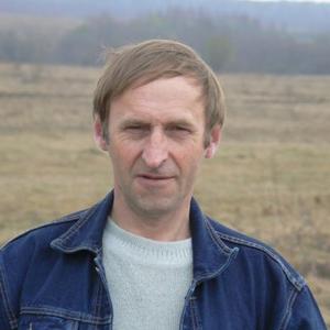 Николай, 66 лет, Ярославль