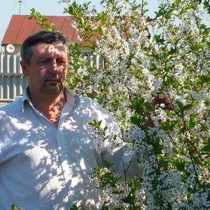 Владимир, 57 лет, Камышинский