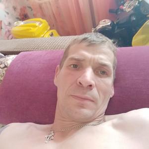 Иван, 41 год, Северск