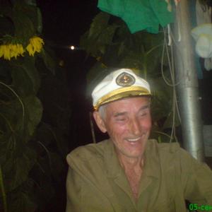 Василий Притулин, 74 года, Пласт