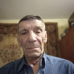 Владимир, 71 год, Владимир
