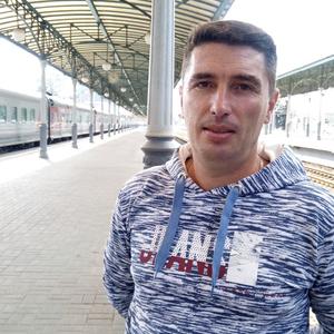 Александр Плющик, 46 лет, Новозыбков