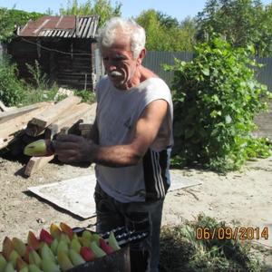 Серж, 73 года, Саратов