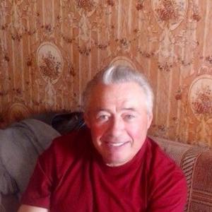 Станислав, 65 лет, Егорьевск