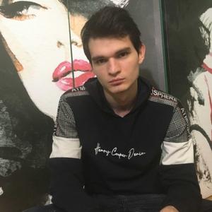 Андрей, 23 года, Брянск