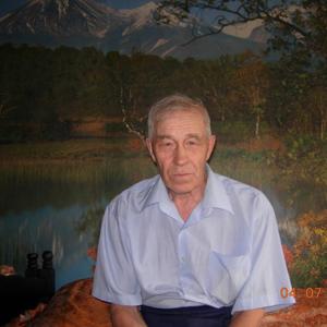 Валентин, 87 лет, Киров