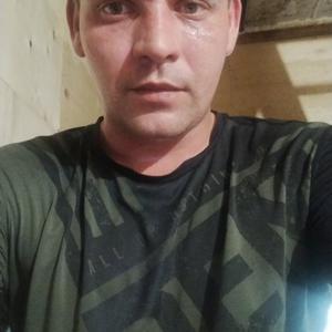Владимир, 31 год, Оса