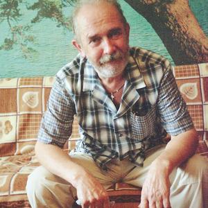 Александр Кочетов, 71 год, Курск