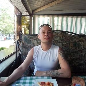 Дмитрий Кара, 47 лет, Полярный