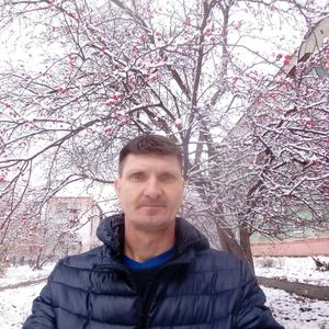 Владимир, 54 года, Верхняя Салда
