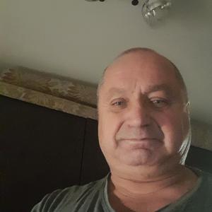 Владимир, 65 лет, Краснодар