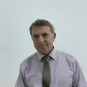 Александр Башкиров, 68 лет, Армавир