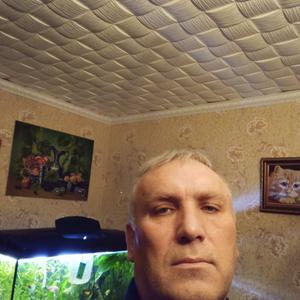 Андрей, 53 года, Тула