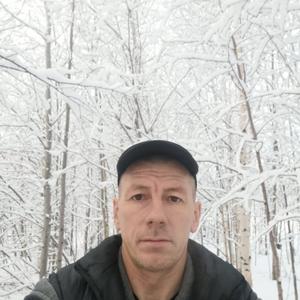 Василий, 46 лет, Сургут