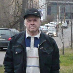 Валерий Голубев, 75 лет, Калининград