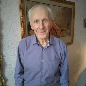 Виктор Вохмянин, 78 лет, Сегежа