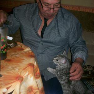 Александр, 68 лет, Тольятти