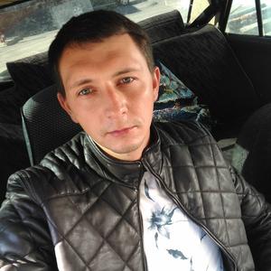 Александр, 35 лет, Белгород