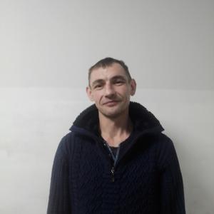 Михаил, 42 года, Домодедово