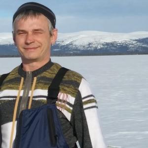 Николай , 48 лет, Сегежа