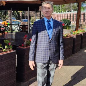 Александр, 68 лет, Краснодар