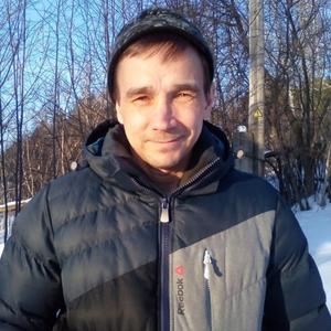 Андрей, 49 лет, Михайловск