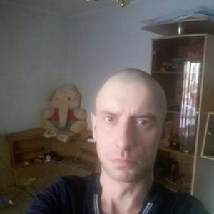 Андрей, 37 лет, Димитровград