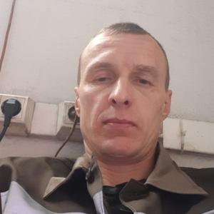 Андрей, 41 год, Тюмень