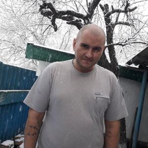 Александр Нескажу, 41 год, Александровское