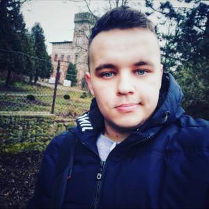 Алексей, 24 года, Толмачево