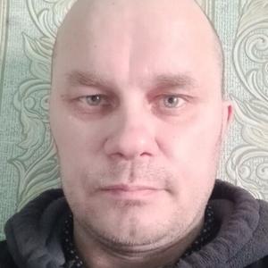 Сергей, 40 лет, Туран