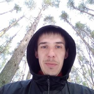 Alexander, 31 год, Ярославль