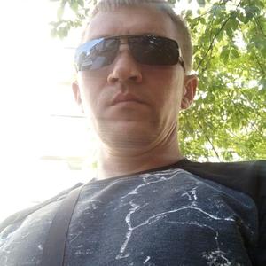 Алексей Александрович, 41 год, Череповец
