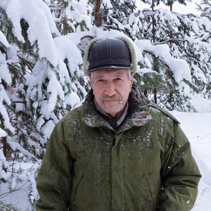 Владимир, 70 лет, Ульяновск