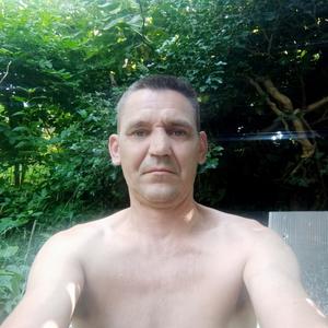 Владимир Петров, 39 лет, Березники
