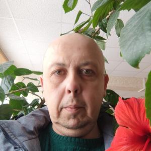 Дмитрий, 48 лет, Гуково