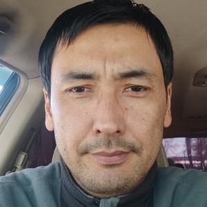 Nurik, 40 лет, Бишкек