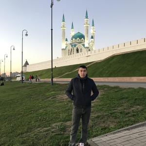 Дамир, 31 год, Ульяновск