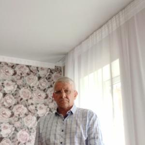 Вячеслав, 66 лет, Благодарный