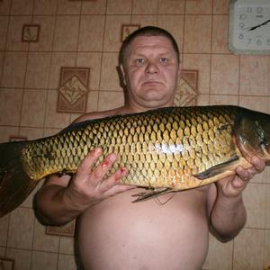 Юрец, 53 года, Наро-Фоминск