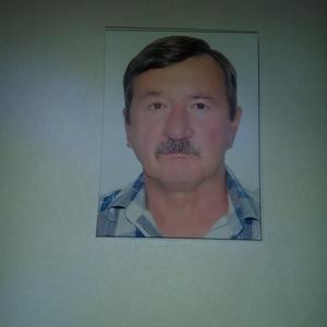 Григорий Курдеев, 67 лет, Тула